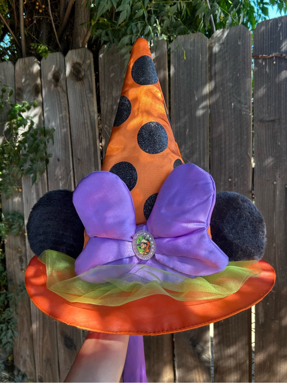 Large Satin 2016 Disney Parks
Minnie Mouse Halloween Witch
Hat